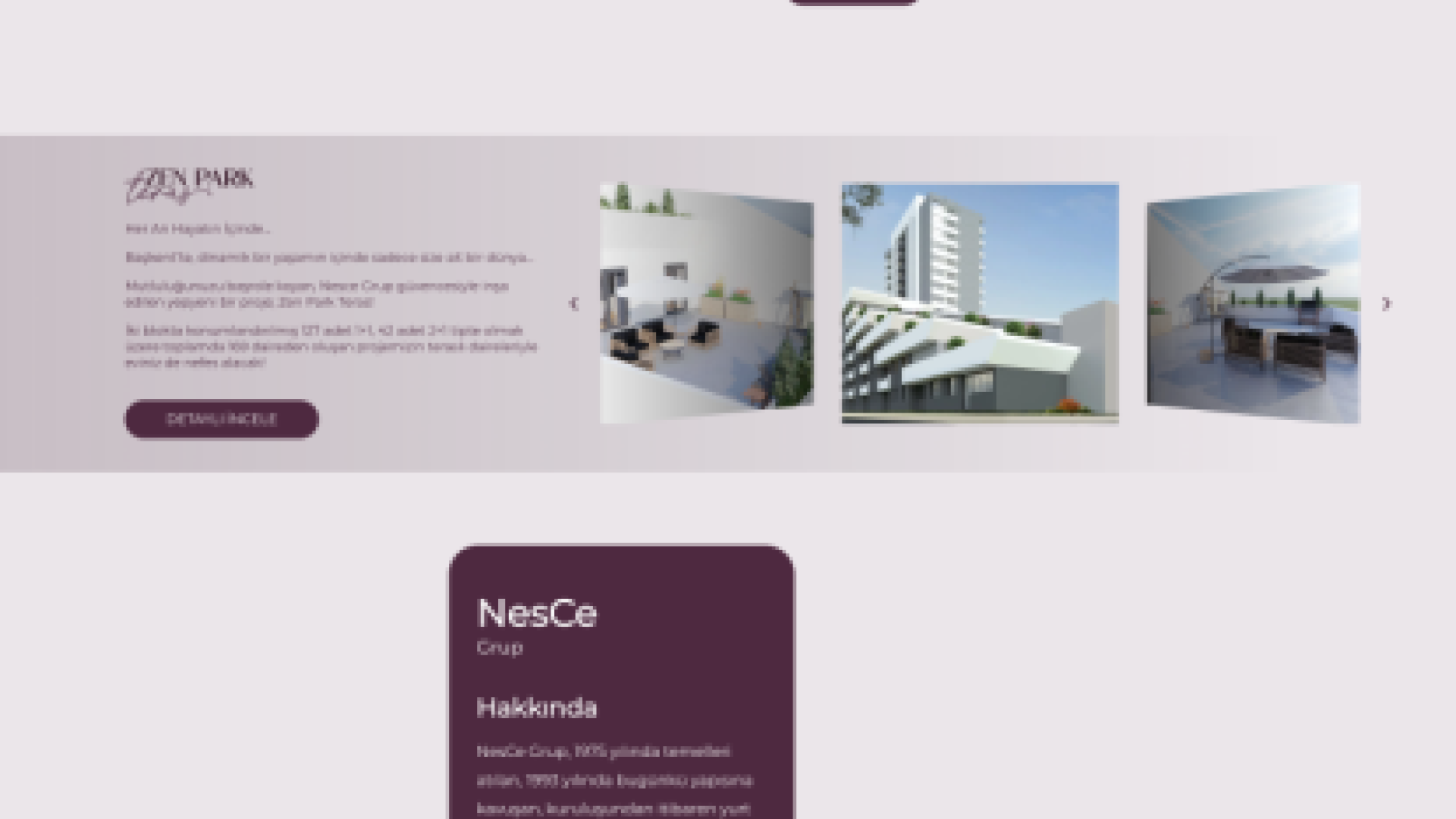 Zen Park Web Sitesi